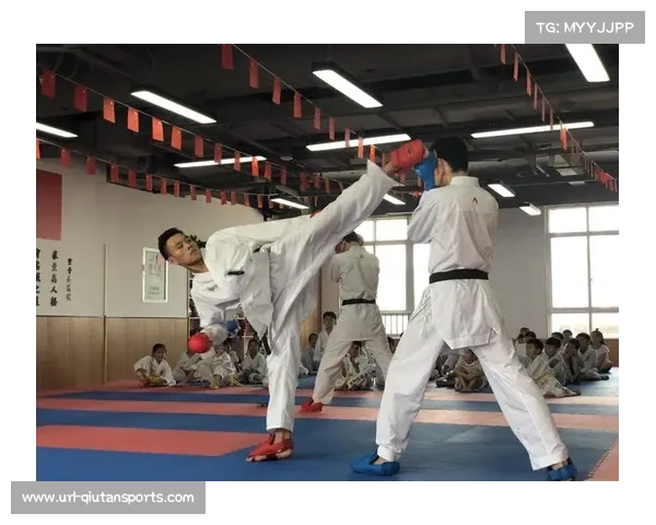 空手道电子化学习平台助力爱好者实现远程高效学习与技术提升